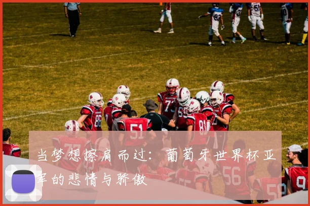 当梦想擦肩而过：葡萄牙世界杯亚军的悲情与骄傲