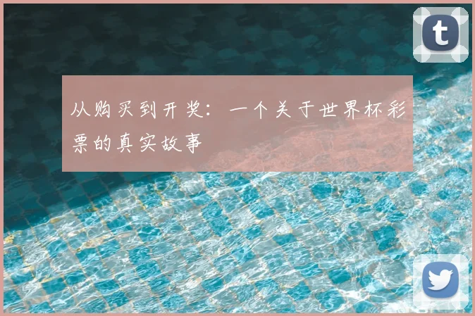 从购买到开奖：一个关于世界杯彩票的真实故事