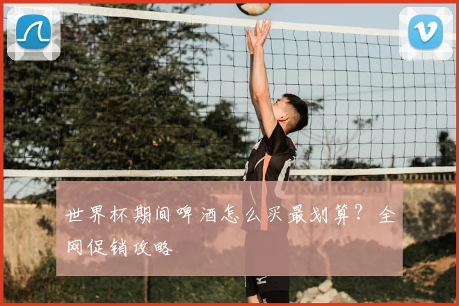 世界杯期间啤酒怎么买最划算？全网促销攻略
